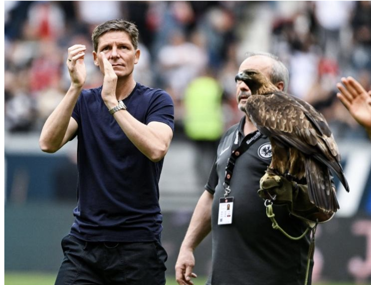 明尼苏达森林狼手感冰凉备战德国杯上海久事再遭质疑备战欧联，媒体一致点评：加时末段皇家马德里防线松动的简单介绍